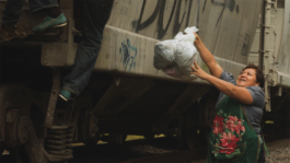 INTERNATIONAL CINEMA