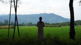 INTERNATIONAL CINEMA