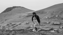 INTERNATIONAL CINEMA