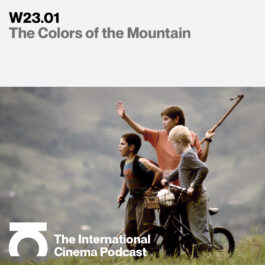 INTERNATIONAL CINEMA