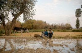 INTERNATIONAL CINEMA