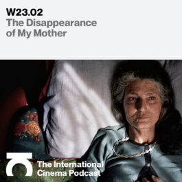 INTERNATIONAL CINEMA